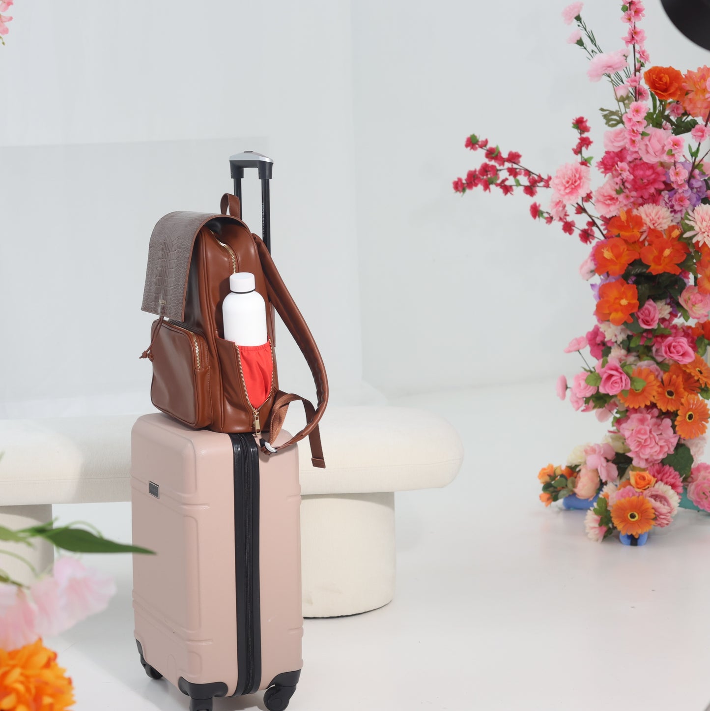 Miss Cléopâtre - Marron